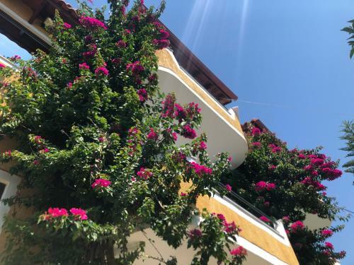 Holiday Apartments Altini