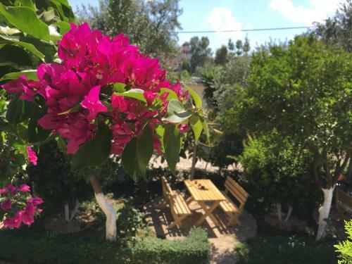 Holiday Apartments Altini
