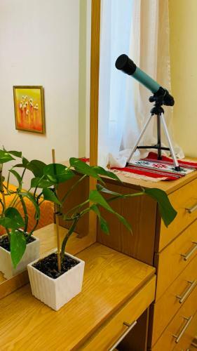 Central Comfy Apartment