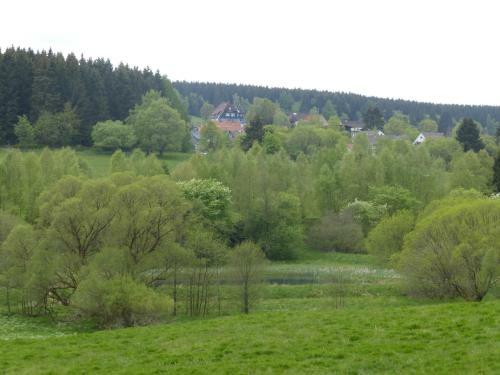 Hostal G�stehaus Harzgl�ck