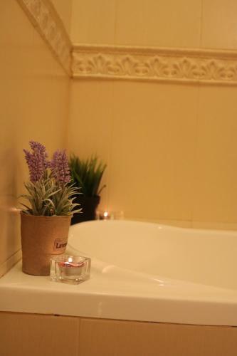 Belleview Apartment 2