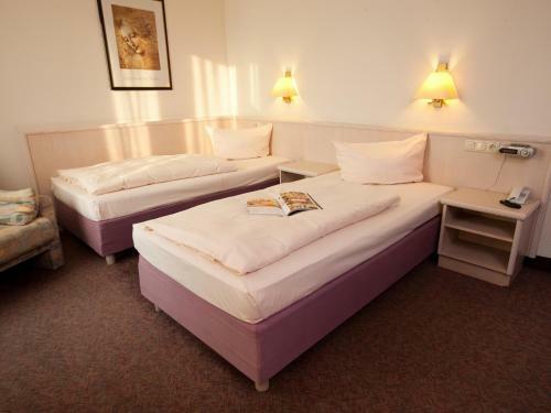 Hoteltraube R�desheim
