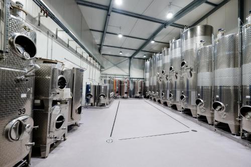 Apartamentos Weingut & Ferienwohnungen M�ller-kern