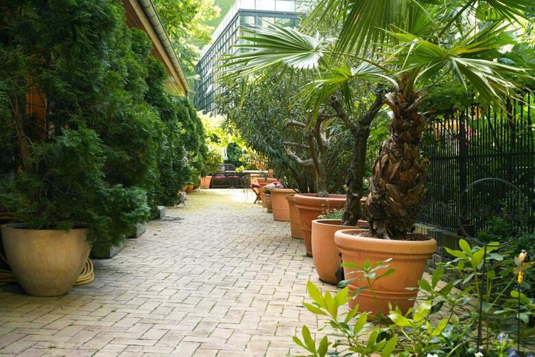 Garden Boutique Hotel