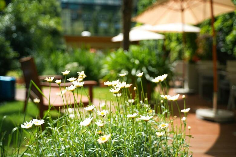Garden Boutique Hotel