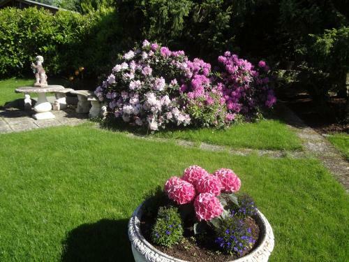 Hostal G�stehaus Am Ahornweg
