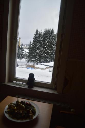 Apartamento Harzspa�