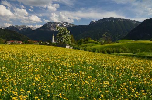 Hotel Alpenlodge Pfronten