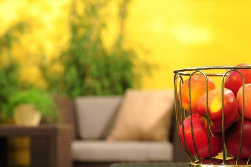 Hotel Guesthouse Mainz
