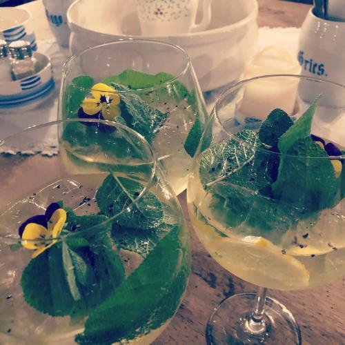 Hostal Altes Handelshaus Plauen