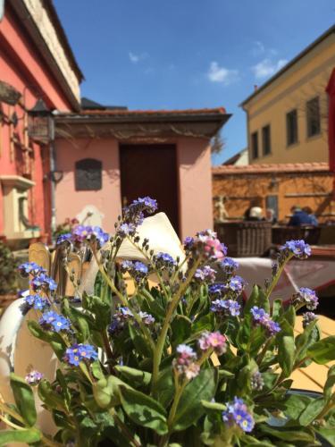 Hostal Altes Handelshaus Plauen