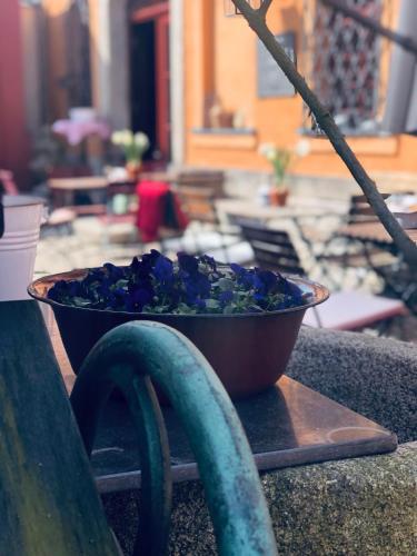 Hostal Altes Handelshaus Plauen