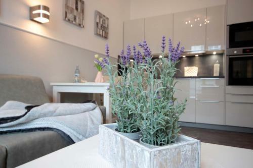 Apartamento Altes Postamt By Rujana