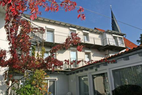 Hotel Schere