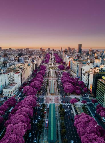 Apartamento Downtown
