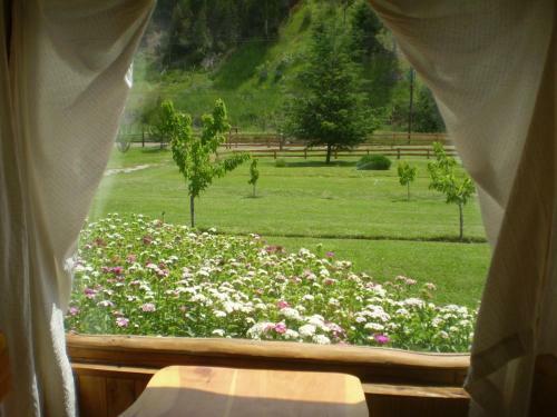 Lodge Caba�as De Franco