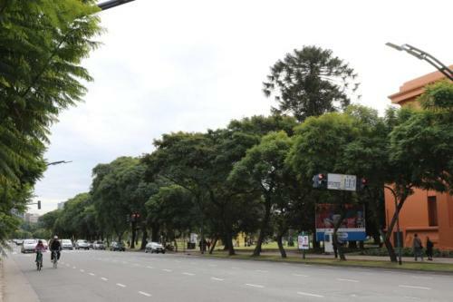 Sunny Recoleta Apartment