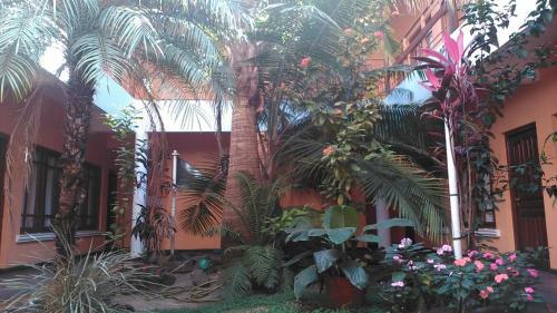 Apart Hotel Los Angelitos