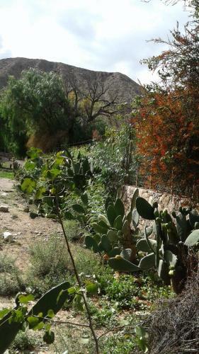 Hostal Hoster�a El Sol Naciente