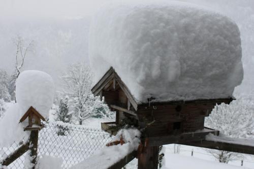 Hostal Pension Lugeck