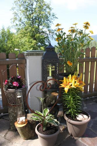 Hostal Pension Lugeck