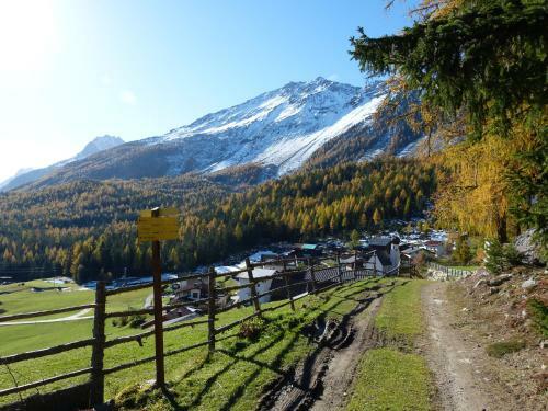 Hostal Alpengasthof K�fels