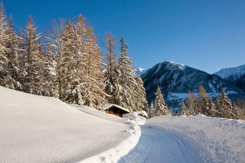 Hostal Alpengasthof K�fels