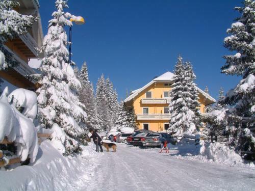 Apartamento Ferienwohnungen Karl Aigner