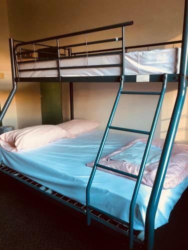 Albergue Elephant Backpacker