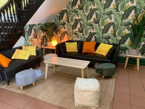 Albergue Elephant Backpacker