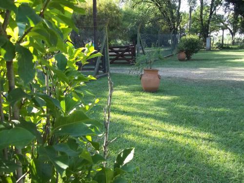 La Matilde