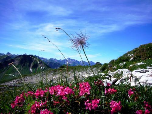 Alpenflair Ferienwohnungen "haus Doris"