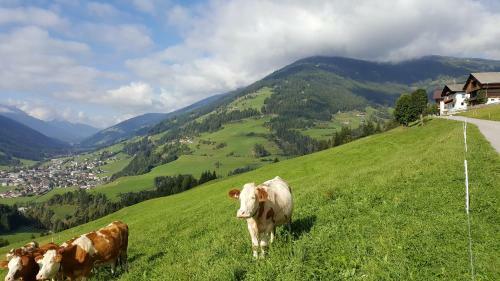 Apartamento Rieserhof