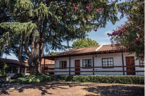Apart Hotel Los Cedros