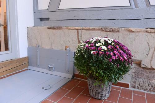 Hostal Pension Typisch Naumburg