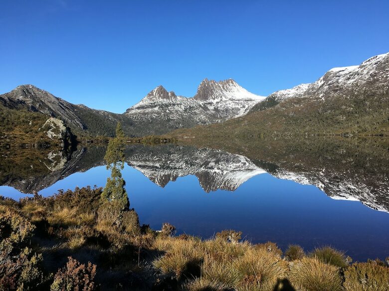 Bed & Breakfast Boscobel Of Tasmania