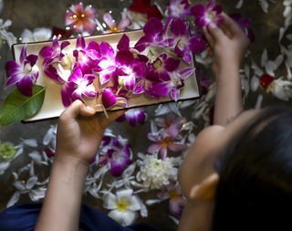 Hotel Banyan Tree Bintan