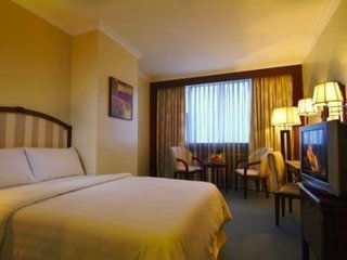 Hotel Parklane (superior)