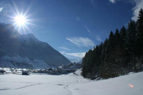 Hostal Ladestatthof