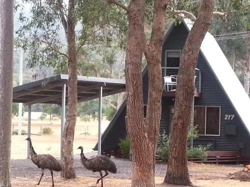 The A-frame Chalet