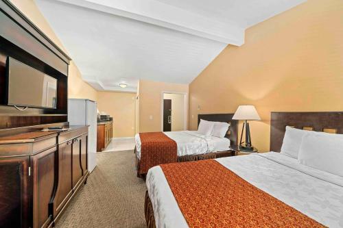 Lemon Tree Hotel