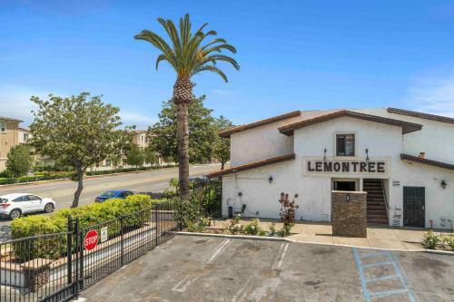 Lemon Tree Hotel