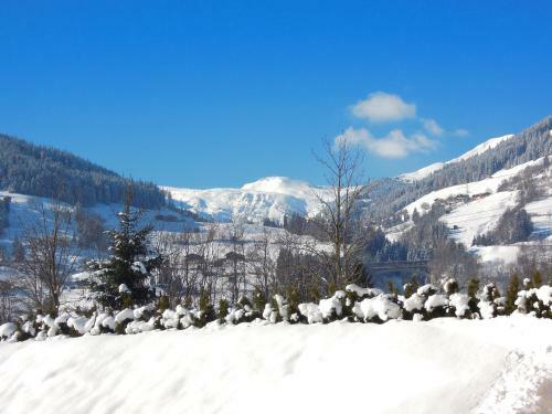 Bed & Breakfast Pension Caf� Wiesenhof