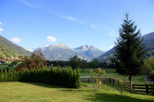 Bed & Breakfast Pension Caf� Wiesenhof