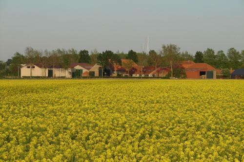 Holiday Home De Colve