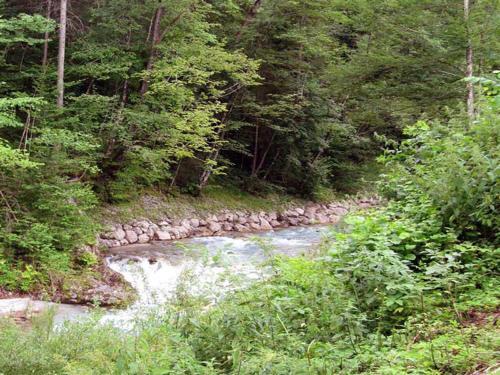 Apartamento Appartement Zeitz Ramsau