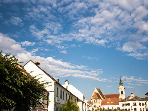 Hotel Schandl ***s