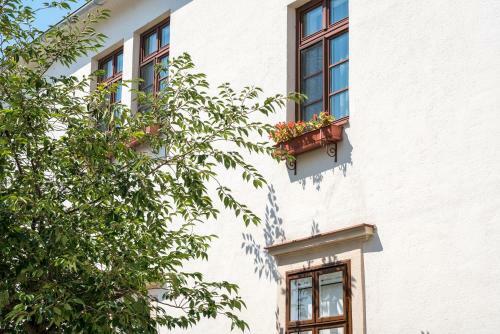 Hotel Schandl ***s