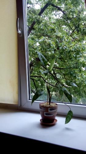 Apartamento Minsk Flat Fortourist