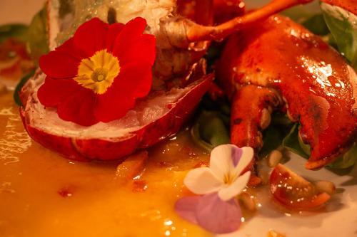 Hotel Petit Rouge Vakantiecentrum